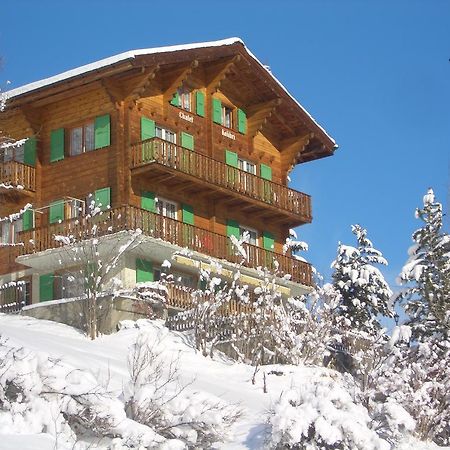 Chalet Kolibri Zermatt Extérieur photo