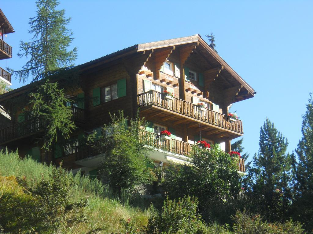 Chalet Kolibri Zermatt Extérieur photo